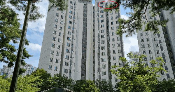 경기도 평택시 용이동 471-1 평택용이푸르지오 110동 17층1704호 아파트 경매 물건 이미지