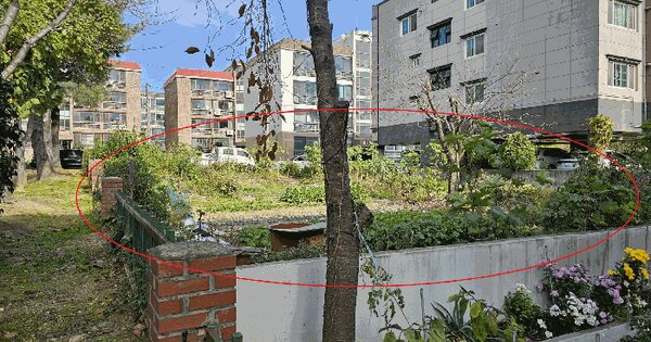 울산광역시 울주군 언양읍 동부리 347-2 잡종지 경매 물건 이미지
