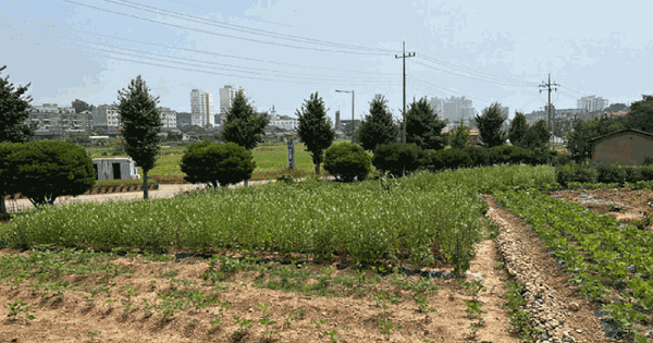 충청남도 당진시 우강면 송산리 428-13 전 경매 물건 이미지