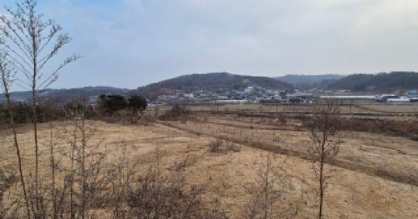 세종특별자치시 연동면 노송리 310-1 임야 경매 물건 이미지