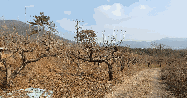 경상남도 김해시 진영읍 의전리 487 전 경매 물건 이미지
