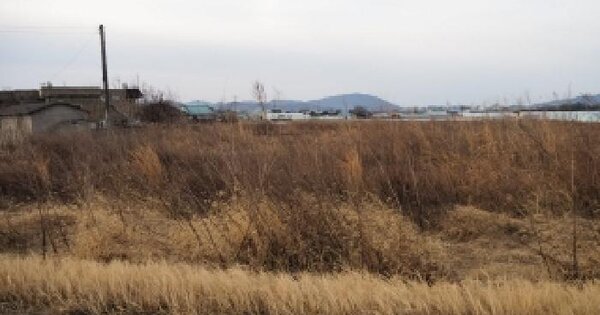 경상남도 밀양시 하남읍 백산리 1454-8 답 경매 물건 이미지