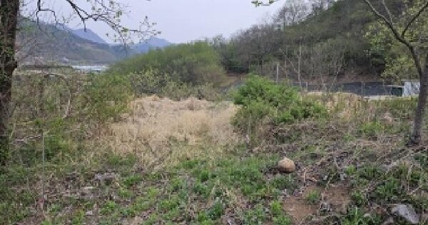 경상남도 산청군 삼장면 대포리 203 전 경매 물건 이미지