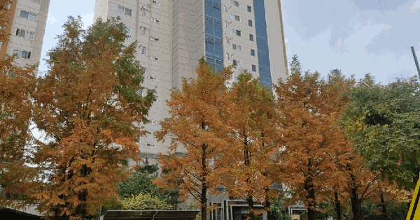 대구광역시 중구 삼덕동3가 383 삼덕청아람리슈빌 103동 3층302호 아파트 경매 물건 이미지