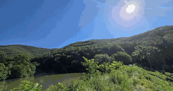 경상북도 영천시 화북면 옥계리 산73-2 임야 경매 물건 이미지
