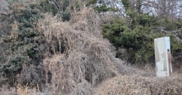 경기도 화성시 만세구 송산면 사강리 474-4 임야 경매 물건 이미지