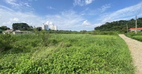 충청남도 당진시 송악읍 중흥리 184-1 답 경매 물건 이미지