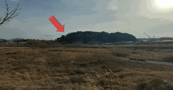 충청남도 예산군 삽교읍 이리 560-9 임야 경매 물건 이미지