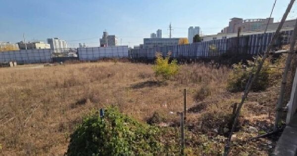 충청남도 아산시 권곡동 443-227 대지 경매 물건 이미지