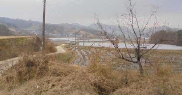 충청남도 부여군 은산면 경둔리 44-4 임야 경매 물건 이미지