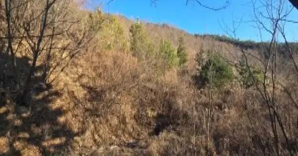 울산광역시 울주군 상북면 지내리 산34 임야 경매 물건 이미지