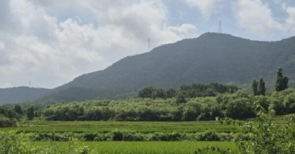 경상북도 포항시 북구 기계면 성계리 1154 전 경매 물건 이미지