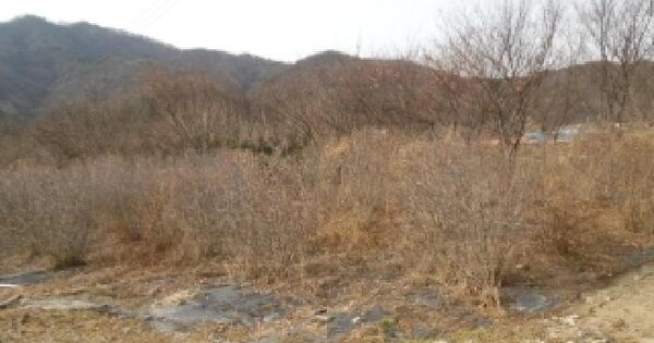 전북특별자치도 전주시 완산구 색장동 699 전 경매 물건 이미지