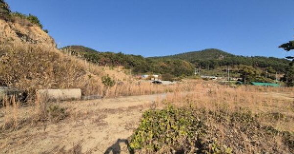 경상남도 고성군 하일면 용태리 122-13 임야 경매 물건 이미지