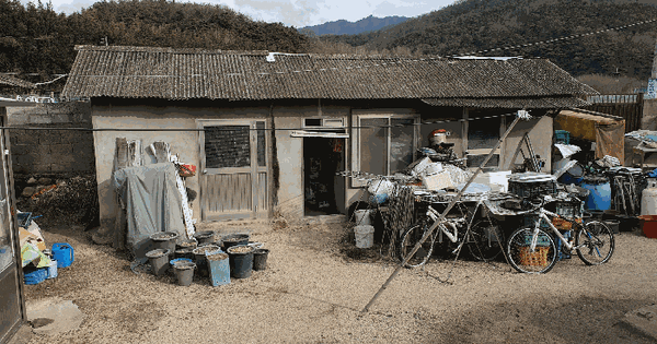 대구광역시 동구 백안동 269  단독주택 경매 물건 이미지
