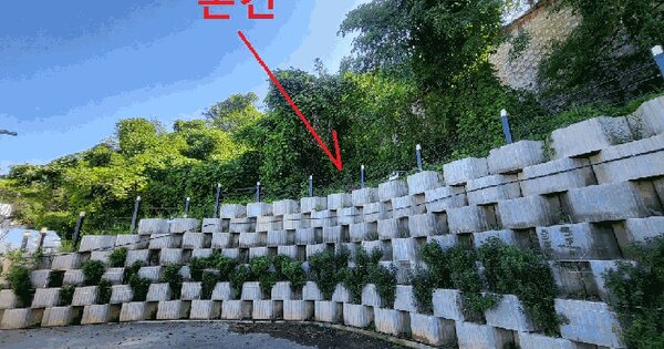 부산광역시 강서구 천성동 251 답 경매 물건 이미지