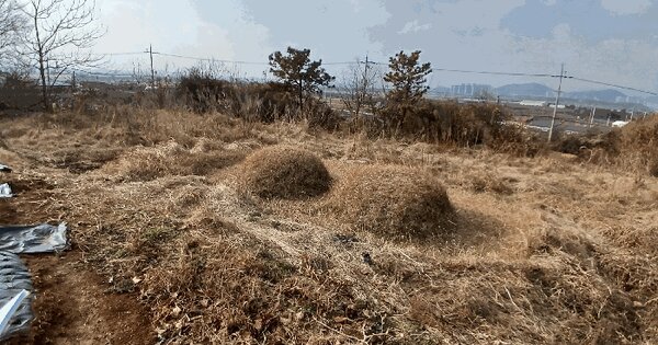 전라남도 나주시 금천면 오강리 52-33 답 경매 물건 이미지