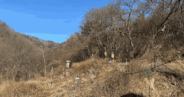 경상북도 영양군 입암면 양항리 79-2 전 경매 물건 이미지