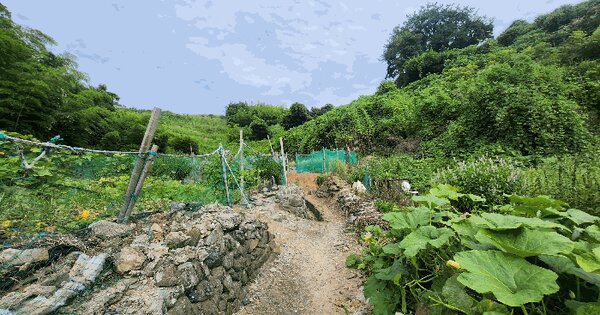 경상남도 거제시 장목면 유호리 99-1 전 경매 물건 이미지