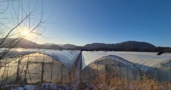 경기도 포천시 영북면 운천리 447-6 답 경매 물건 이미지