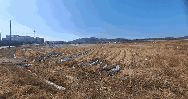 충청남도 서산시 운산면 갈산리 636-8 답 경매 물건 이미지