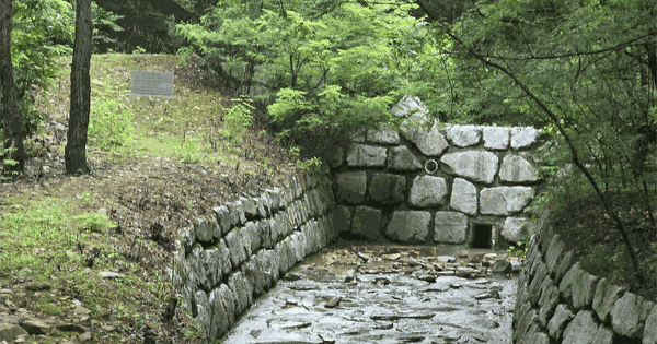 경상북도 구미시 옥성면 농소리 산72-1 임야 경매 물건 이미지