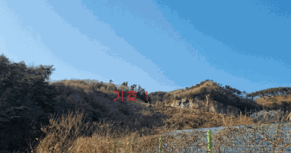 강원특별자치도 원주시 흥업면 대안리 산284 임야 경매 물건 이미지