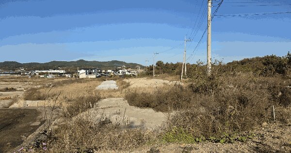 경기도 안산시 단원구 대부남동 139-60 임야 경매 물건 이미지