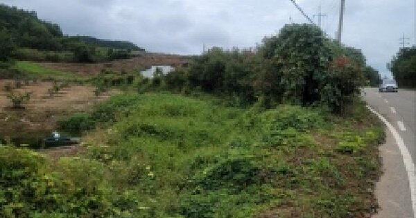 전라남도 고흥군 금산면 석정리 713 답 경매 물건 이미지