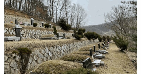 경기도 용인시 처인구 이동읍 서리 산234-5 임야 경매 물건 이미지