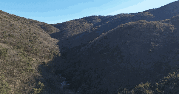 울산광역시 울주군 웅촌면 대복리 산263 임야 경매 물건 이미지