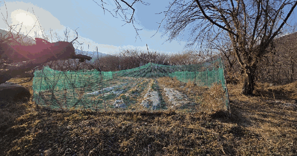 경상북도 경산시 와촌면 강학리 258-3 전 경매 물건 이미지