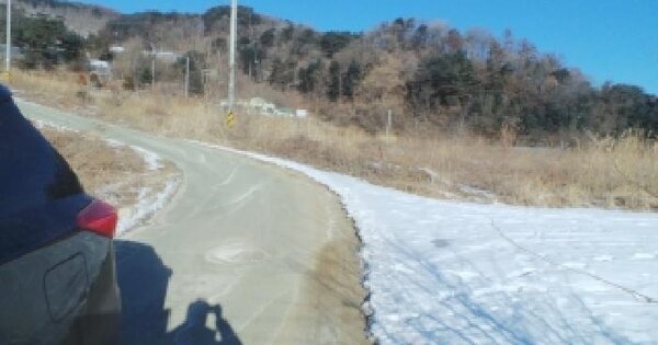 강원특별자치도 양구군 양구읍 하리 256-2 전 경매 물건 이미지