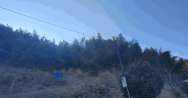 경상남도 거제시 하청면 대곡리 548-1 과수원 경매 물건 이미지