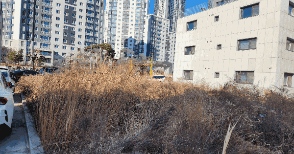 경기도 평택시 고덕동 2627-1 대지 경매 물건 이미지
