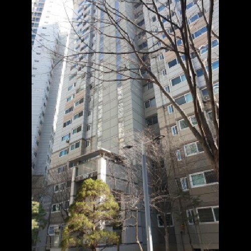 물건 사진