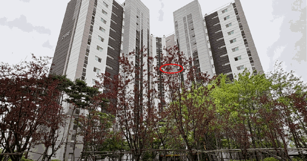 경기도 화성시 산척동 721 더레이크시티부영2단지 2486동 11층1103호 아파트 경매 물건 이미지