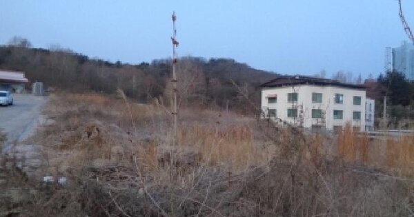 전북특별자치도 전주시 완산구 효자동3가 1347-16 전 경매 물건 이미지