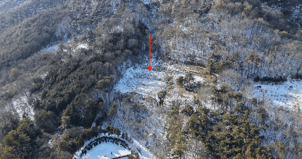 전남광주통합특별시 함평군 월야면 월계리 770 전 경매 물건 이미지