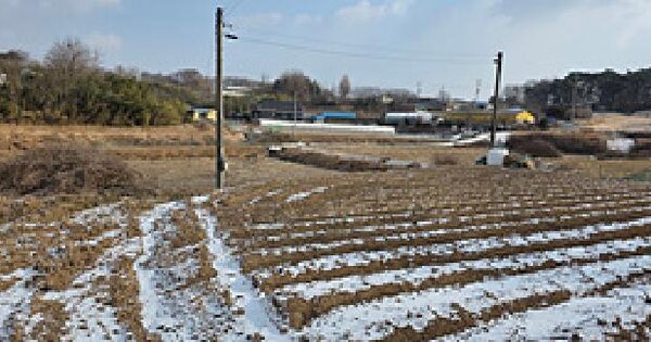 충청남도 홍성군 홍북읍 석택리 산20-5 임야 경매 물건 이미지