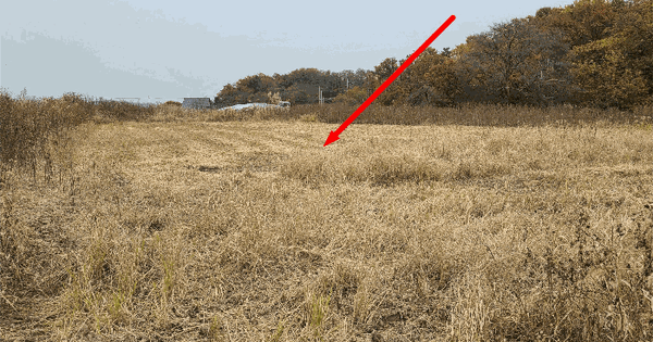 인천광역시 강화군 길상면 선두리 1053-32 답 경매 물건 이미지