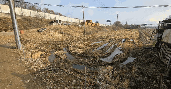 충청북도 충주시 주덕읍 신양리 182-2 대지 경매 물건 이미지