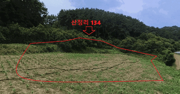 충청남도 공주시 신풍면 산정리 134 대지 경매 물건 이미지