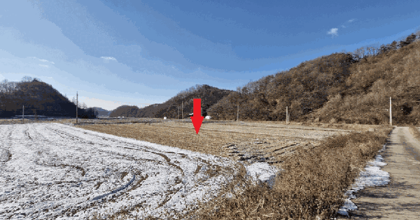 전북특별자치도 임실군 성수면 삼봉리 994-4 답 경매 물건 이미지