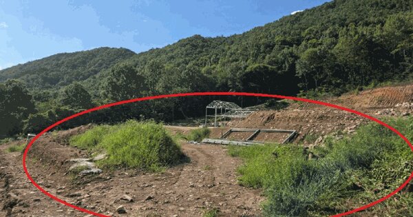 경상북도 청도군 각남면 사리 산80-15 임야 경매 물건 이미지