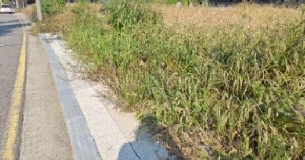 인천광역시 영종구 운북동 1294-6 대지 경매 물건 이미지