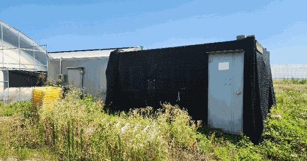 충청북도 음성군 생극면 병암리 287 답 경매 물건 이미지