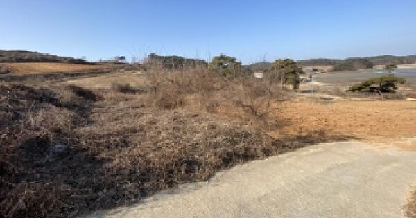 충청남도 태안군 고남면 누동리 35 전 경매 물건 이미지