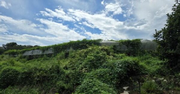 경상북도 김천시 봉산면 신암리 788-2 답 경매 물건 이미지