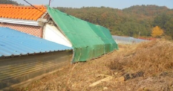 충청남도 부여군 양화면 시음리 60-3 대지 경매 물건 이미지